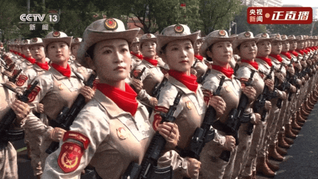 5.gif