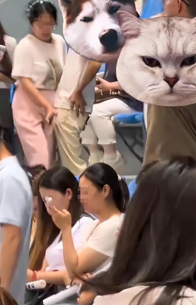 5.jpeg