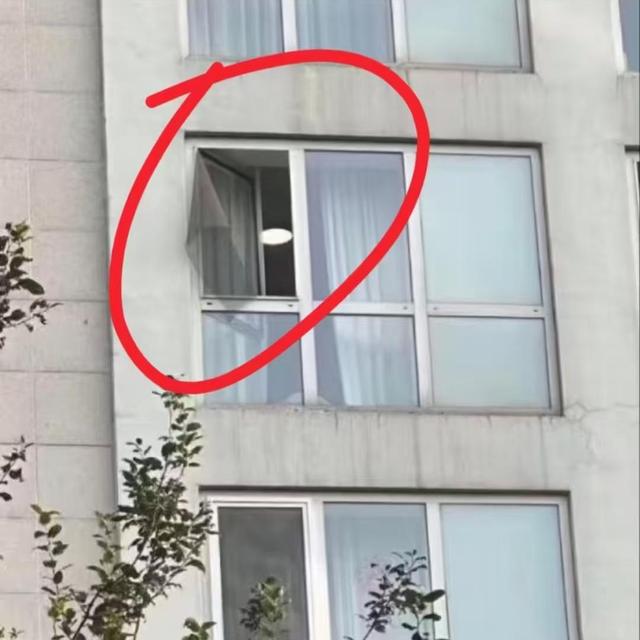 7.jpeg