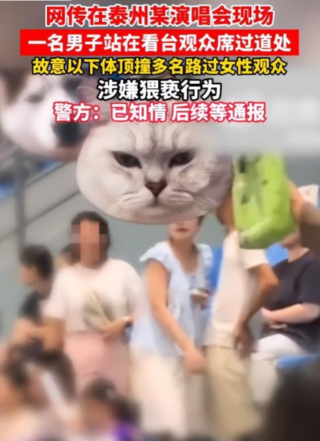 9.jpeg