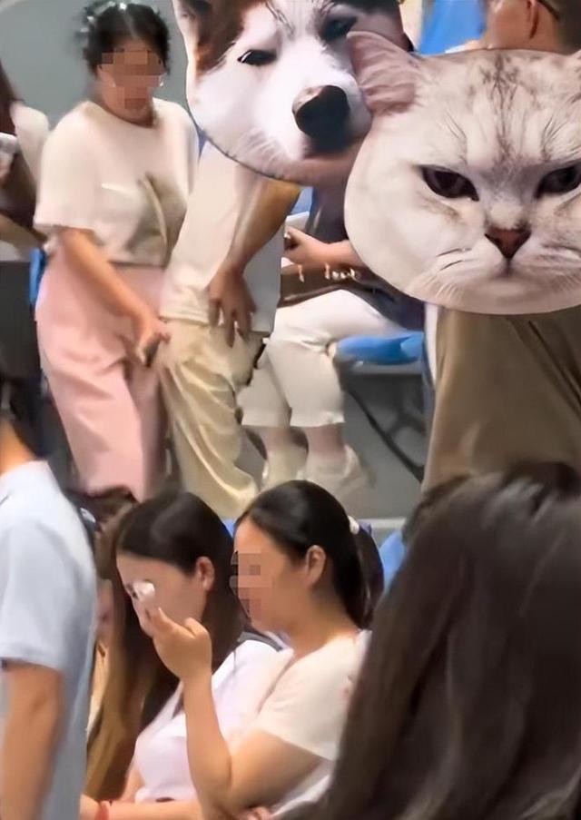 15.jpeg