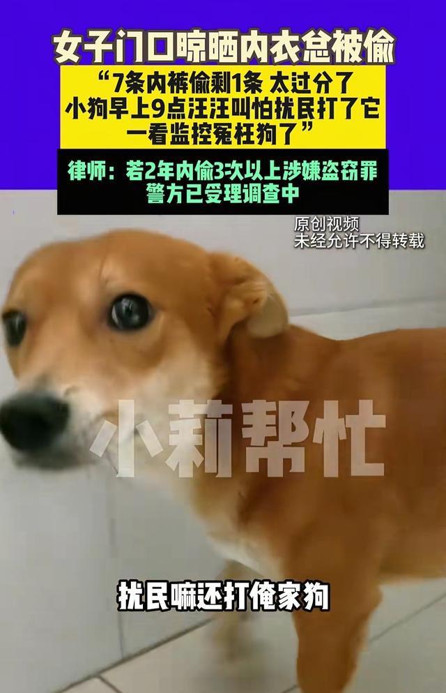 3.jpeg