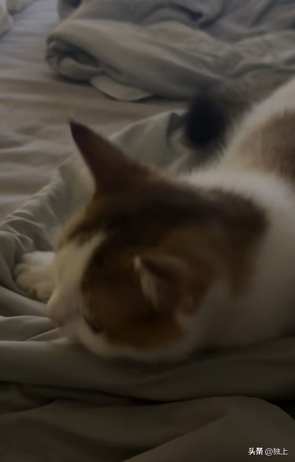 8.png