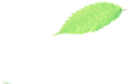 8.png