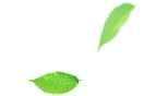 5.png