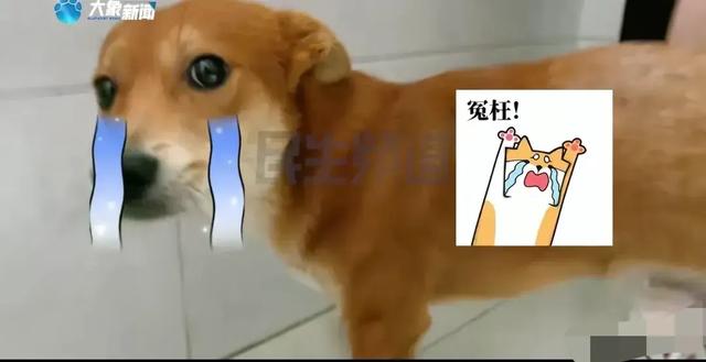 11.jpeg