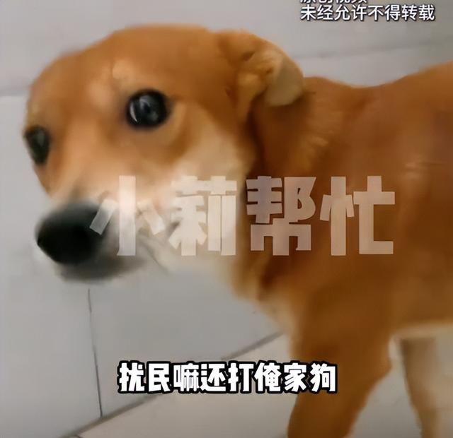 11.jpeg