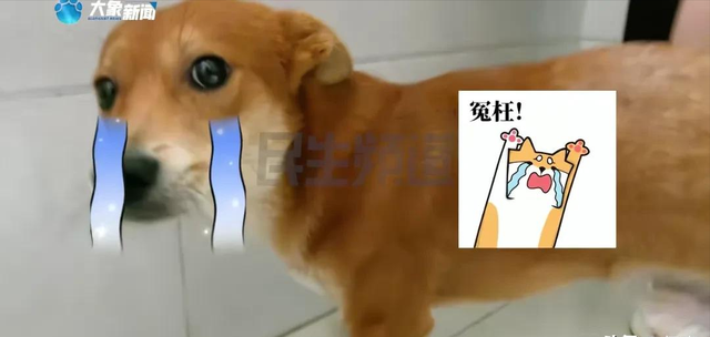 12.png