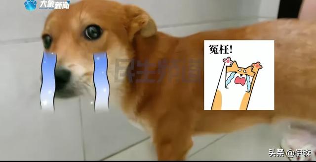 10.jpeg