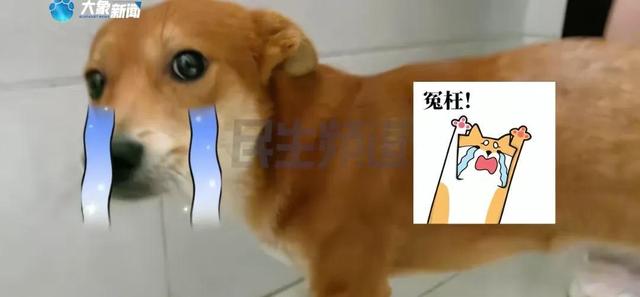 9.jpeg