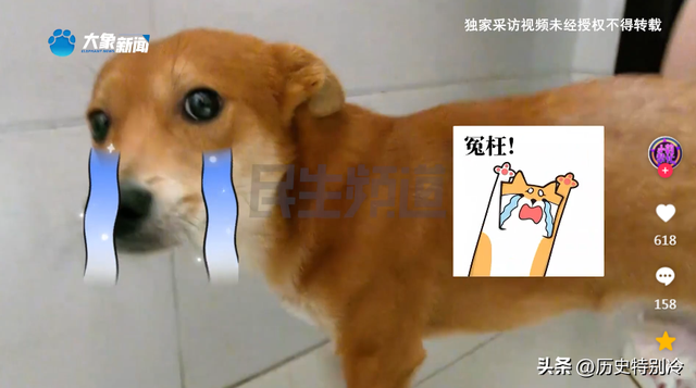 12.png