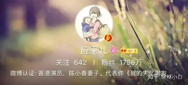 8.webp
