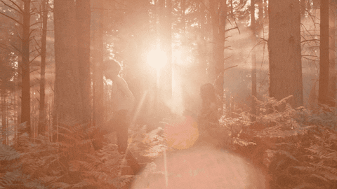3.gif