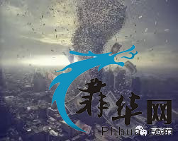 5.jpeg