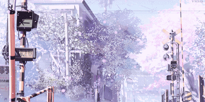 8.gif