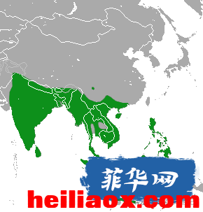 3.png