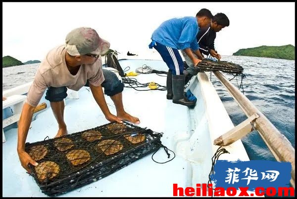 33.jpeg