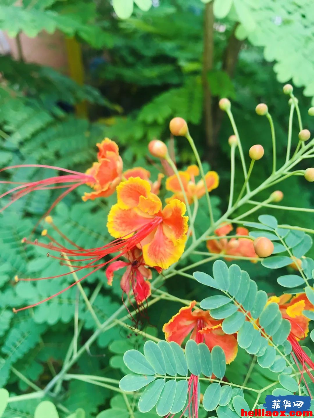 1.jpeg