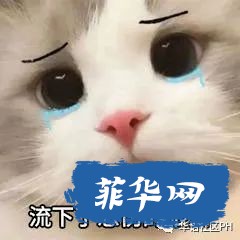 4.jpeg