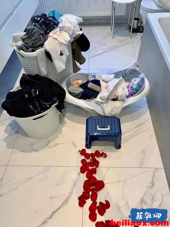6.jpeg