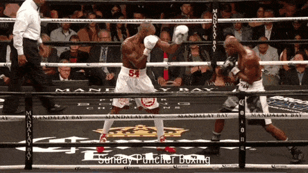 3.gif
