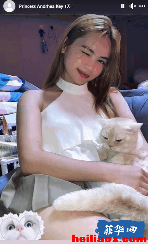 15.png