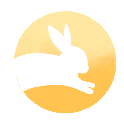 6.gif